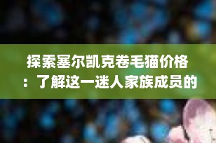 探索塞尔凯克卷毛猫价格：了解这一迷人家族成员的市场价值