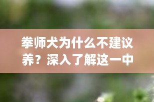 拳师犬为什么不建议养？深入了解这一中大型犬种的特点与挑战