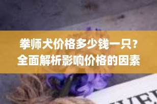 拳师犬价格多少钱一只？全面解析影响价格的因素与选购指南