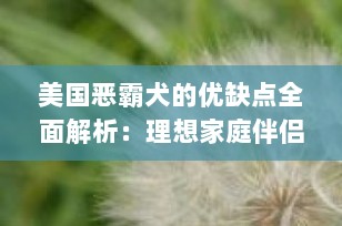 美国恶霸犬的优缺点全面解析：理想家庭伴侣还是潜在挑战？
