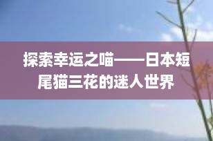 探索幸运之喵——日本短尾猫三花的迷人世界