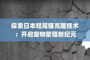 探索日本短尾猫克隆技术：开启宠物繁殖新纪元