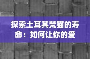 探索土耳其梵猫的寿命：如何让你的爱宠活得更长久