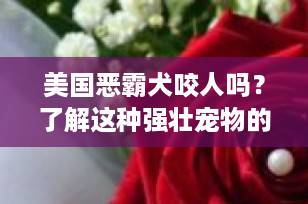 美国恶霸犬咬人吗？了解这种强壮宠物的真相