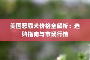 美国恶霸犬价格全解析：选购指南与市场行情