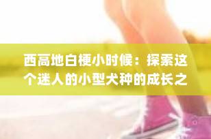 西高地白梗小时候：探索这个迷人的小型犬种的成长之旅