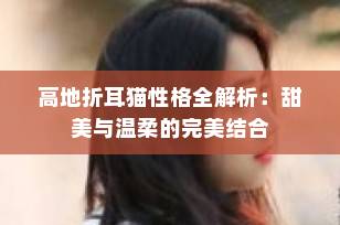 高地折耳猫性格全解析：甜美与温柔的完美结合