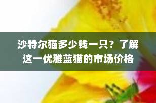 沙特尔猫多少钱一只？了解这一优雅蓝猫的市场价格