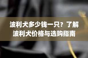 波利犬多少钱一只？了解波利犬价格与选购指南