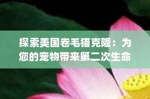 探索美国卷毛猫克隆：为您的宠物带来第二次生命的机会