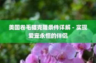 美国卷毛猫克隆条件详解 - 实现爱宠永恒的伴侣