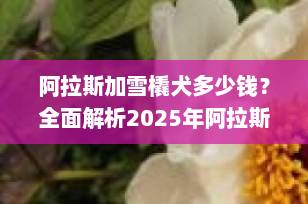 阿拉斯加雪橇犬多少钱？全面解析2025年阿拉斯加雪橇犬价格趋势