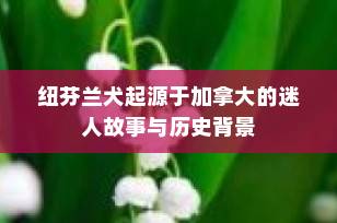 纽芬兰犬起源于加拿大的迷人故事与历史背景