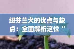 纽芬兰犬的优点与缺点：全面解析这位“温柔巨人”的家庭适配性