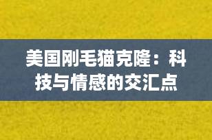 美国刚毛猫克隆：科技与情感的交汇点