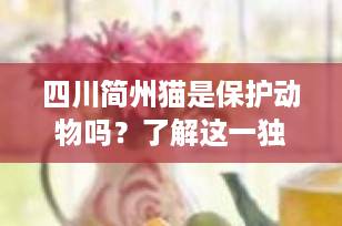 四川简州猫是保护动物吗？了解这一独特中华田园猫的现状与保护状况