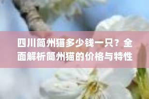 四川简州猫多少钱一只？全面解析简州猫的价格与特性
