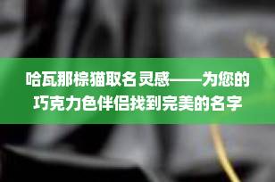 哈瓦那棕猫取名灵感——为您的巧克力色伴侣找到完美的名字
