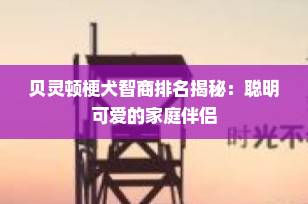 贝灵顿梗犬智商排名揭秘：聪明可爱的家庭伴侣