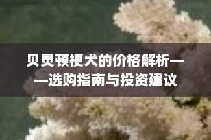 贝灵顿梗犬的价格解析——选购指南与投资建议