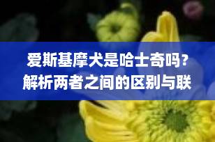 爱斯基摩犬是哈士奇吗？解析两者之间的区别与联系