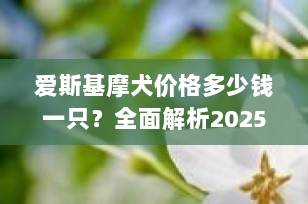 爱斯基摩犬价格多少钱一只？全面解析2025年市场行情