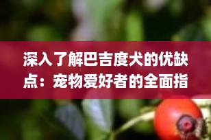 深入了解巴吉度犬的优缺点：宠物爱好者的全面指南