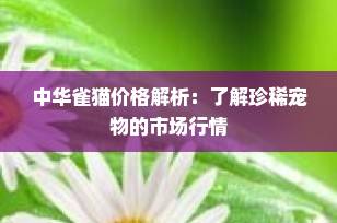 中华雀猫价格解析：了解珍稀宠物的市场行情