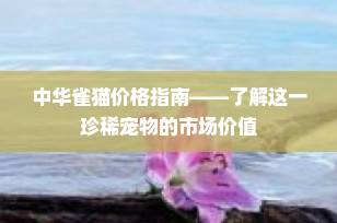 中华雀猫价格指南——了解这一珍稀宠物的市场价值