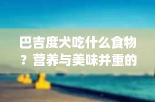巴吉度犬吃什么食物？营养与美味并重的喂养指南
