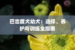 巴吉度犬幼犬：选择、养护与训练全指南