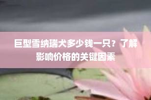 巨型雪纳瑞犬多少钱一只？了解影响价格的关键因素