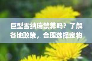 巨型雪纳瑞禁养吗？了解各地政策，合理选择宠物伴侣