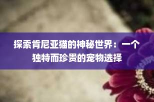 探索肯尼亚猫的神秘世界：一个独特而珍贵的宠物选择