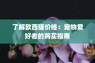 了解欧西猫价格：宠物爱好者的购买指南