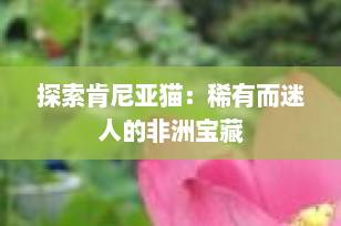 探索肯尼亚猫：稀有而迷人的非洲宝藏