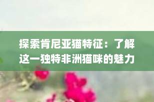 探索肯尼亚猫特征：了解这一独特非洲猫咪的魅力