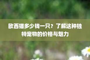 欧西猫多少钱一只？了解这种独特宠物的价格与魅力