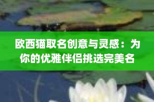 欧西猫取名创意与灵感：为你的优雅伴侣挑选完美名字