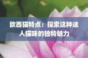 欧西猫特点：探索这种迷人猫咪的独特魅力