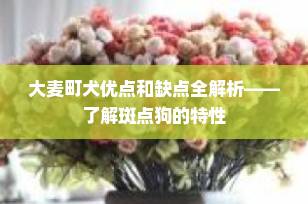 大麦町犬优点和缺点全解析——了解斑点狗的特性