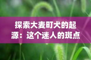 探索大麦町犬的起源：这个迷人的斑点犬种来自哪里？