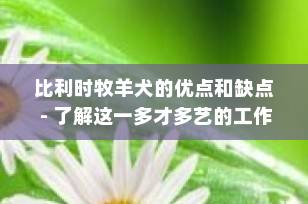 比利时牧羊犬的优点和缺点 - 了解这一多才多艺的工作犬种