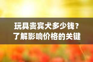 玩具贵宾犬多少钱？了解影响价格的关键因素与最新报价