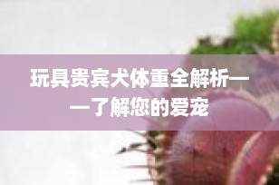 玩具贵宾犬体重全解析——了解您的爱宠