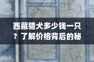 西藏猎犬多少钱一只？了解价格背后的秘密