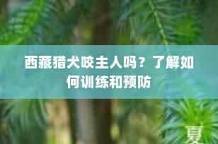 西藏猎犬咬主人吗？了解如何训练和预防