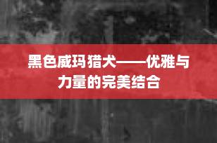 黑色威玛猎犬——优雅与力量的完美结合
