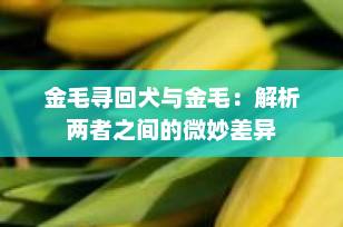 金毛寻回犬与金毛：解析两者之间的微妙差异