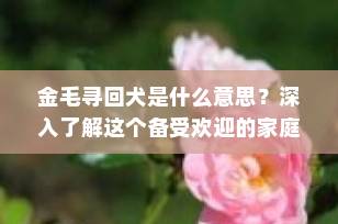 金毛寻回犬是什么意思？深入了解这个备受欢迎的家庭宠物犬种